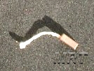 Reedy R0085